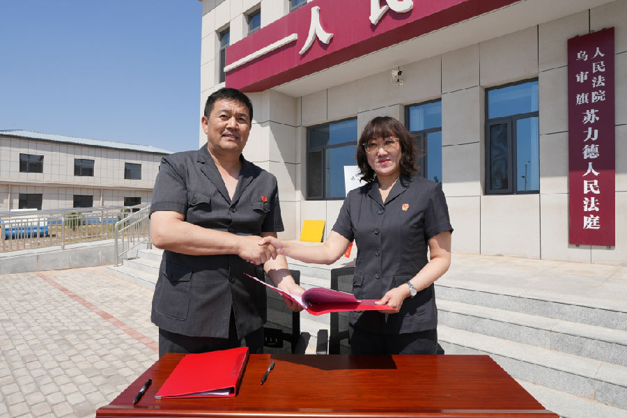 苏力德法庭揭牌2.jpg